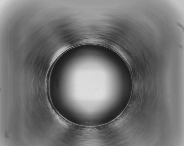 X0000095901050200801251220