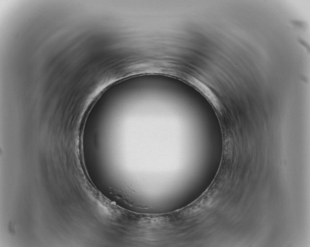 X0000095901051200801251220