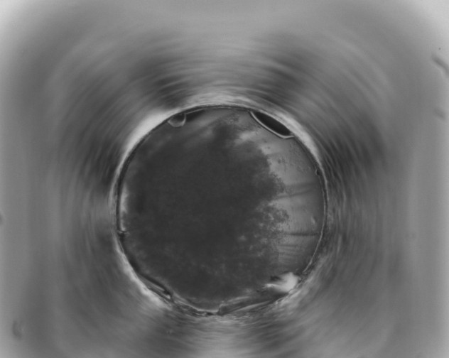 X0000095901053200801251220