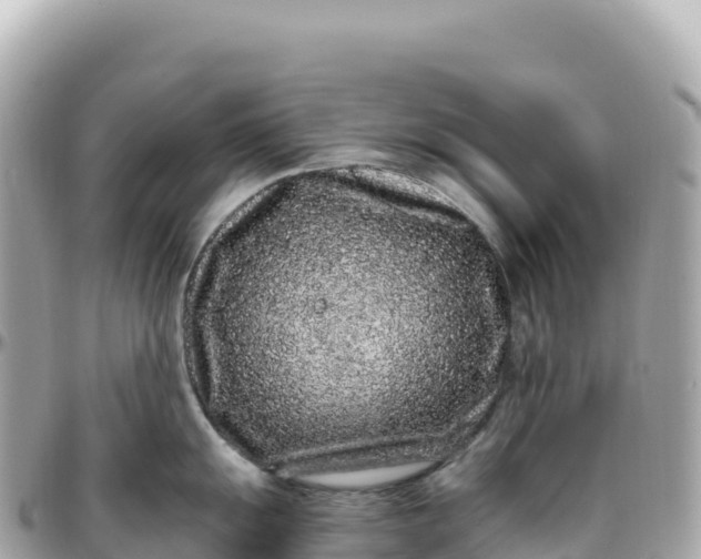 X0000095901055200801251220