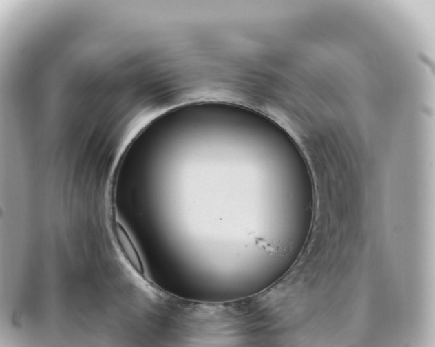 X0000095901056200801251220