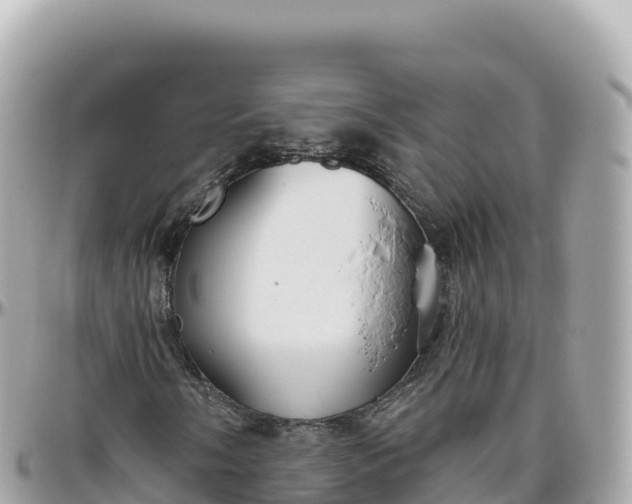 X0000095901058200801251219