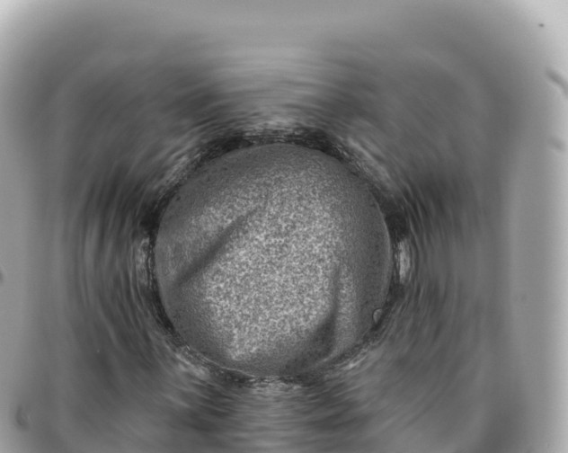 X0000095901059200801251219