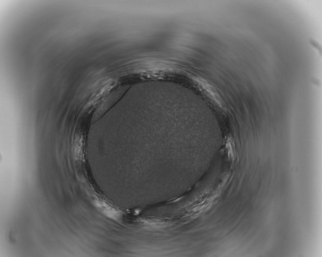 X0000095901060200801251219