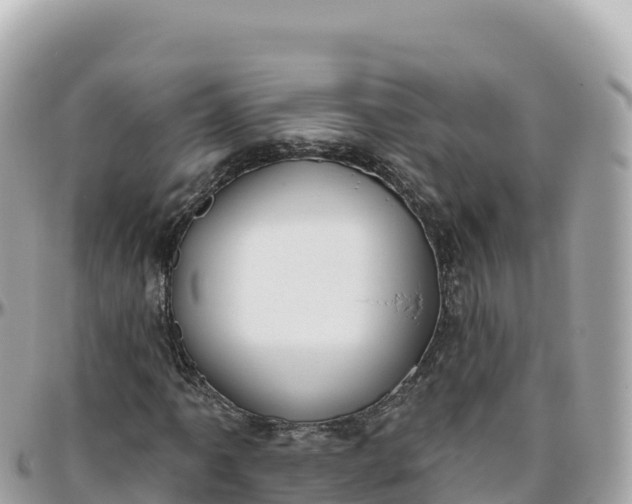 X0000095901061200801251219