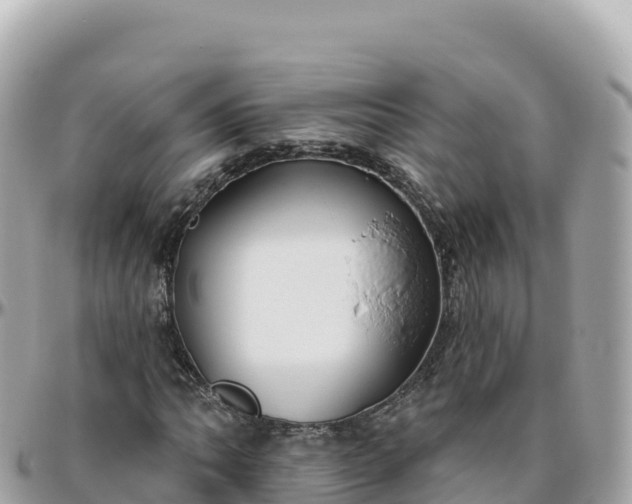 X0000095901062200801251219