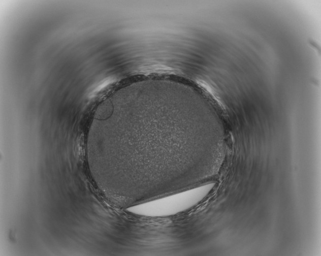 X0000095901063200801251219