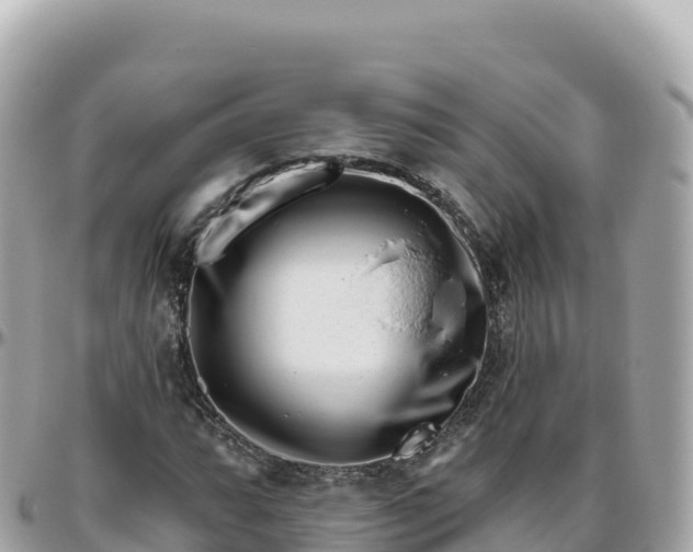 X0000095901064200801251219