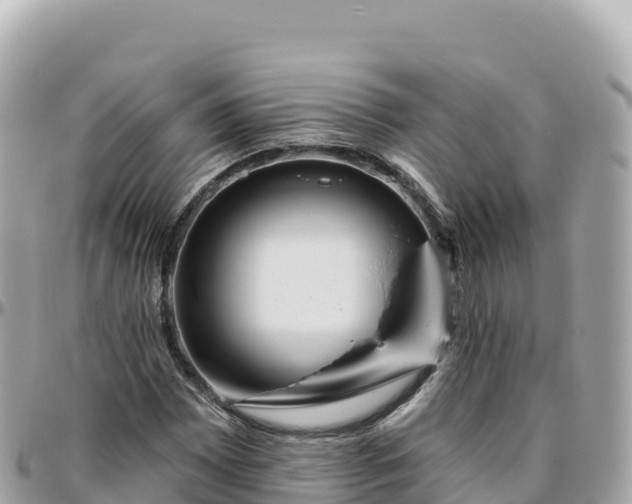 X0000095901065200801251219