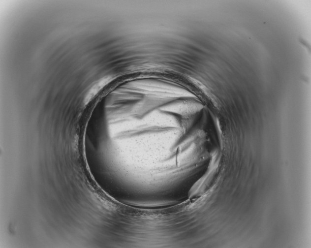 X0000095901066200801251219