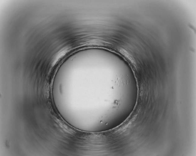 X0000095901067200801251219