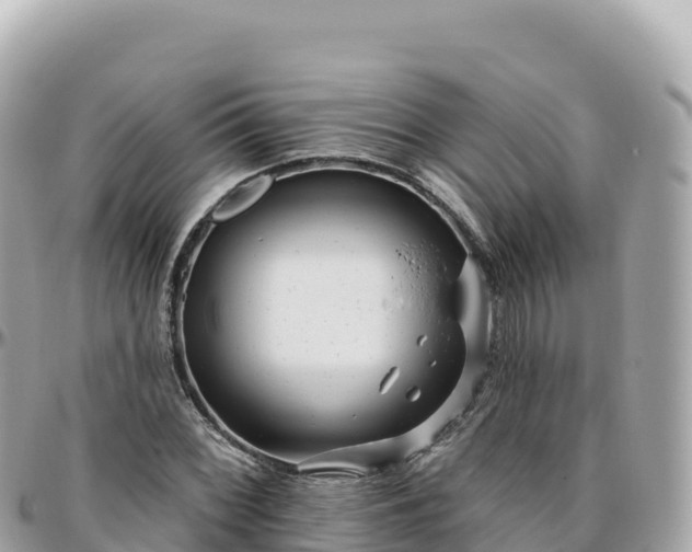 X0000095901068200801251219