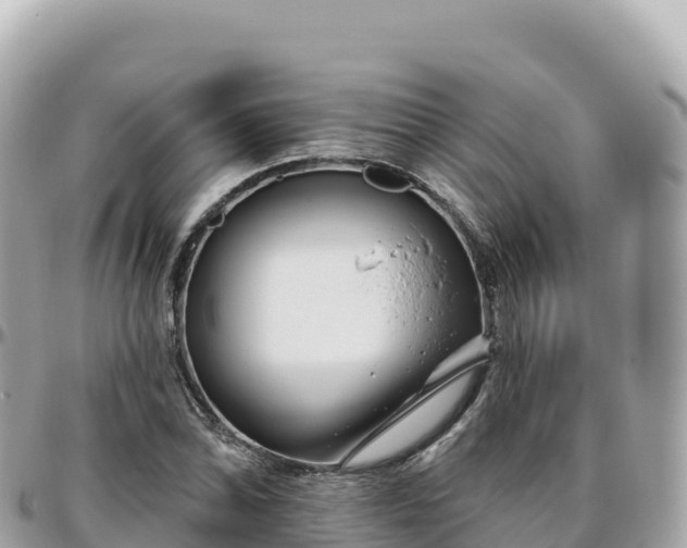 X0000095901070200801251219