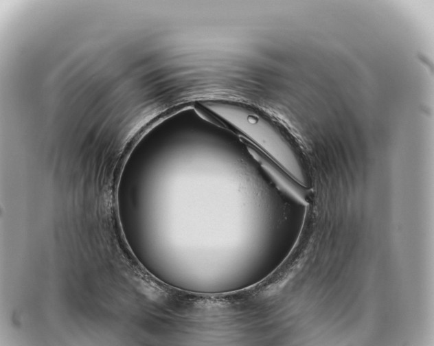 X0000095901073200801251219