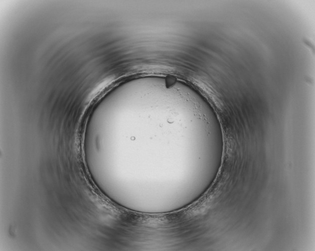 X0000095901074200801251219