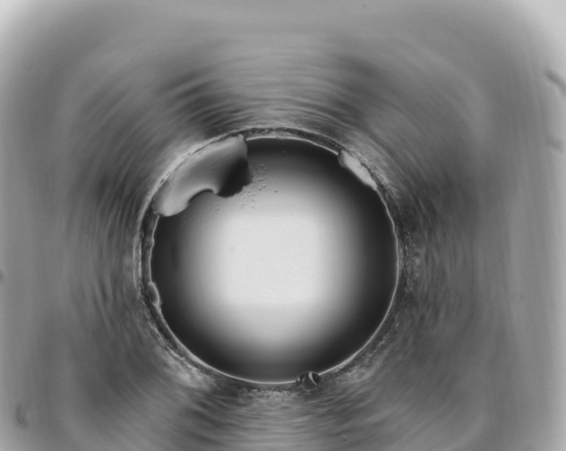 X0000095901076200801251219