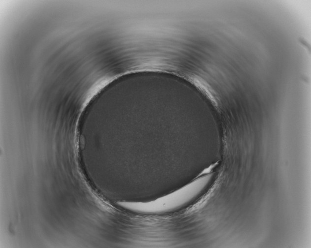 X0000095901077200801251219