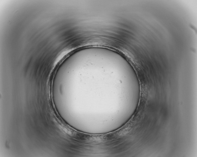 X0000095901078200801251219