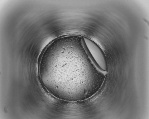 X0000095901079200801251219