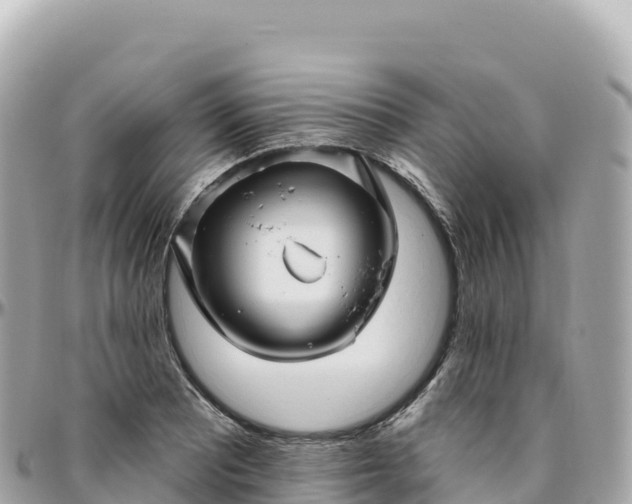 X0000095901081200801251219