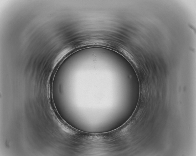 X0000095901082200801251219