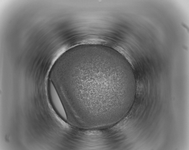 X0000095901083200801251219