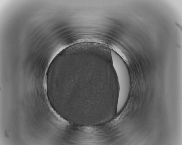 X0000095901084200801251219