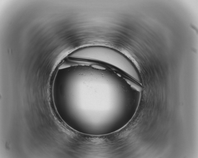 X0000095901085200801251219