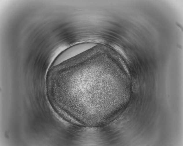 X0000095901087200801251219