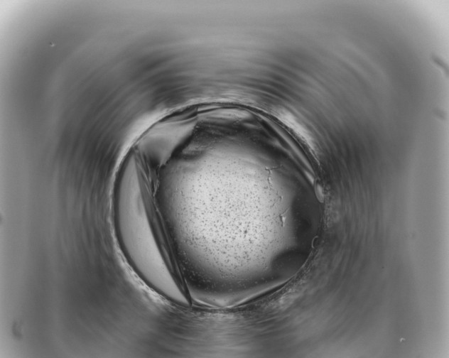 X0000095901088200801251219