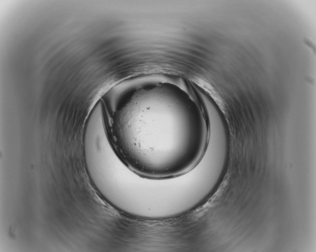 X0000095901089200801251219