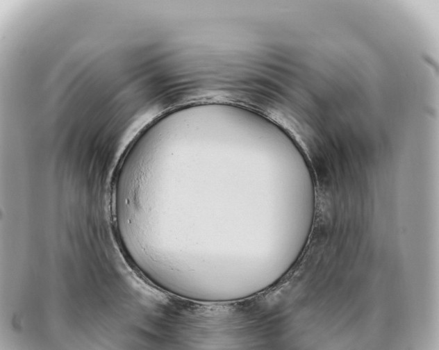 X0000095901090200801251219