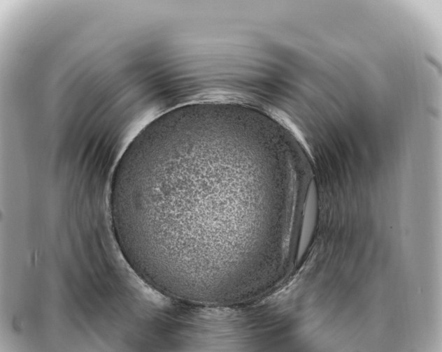 X0000095901091200801251219