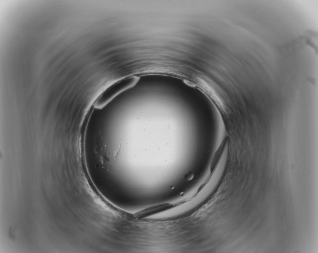 X0000095901092200801251219