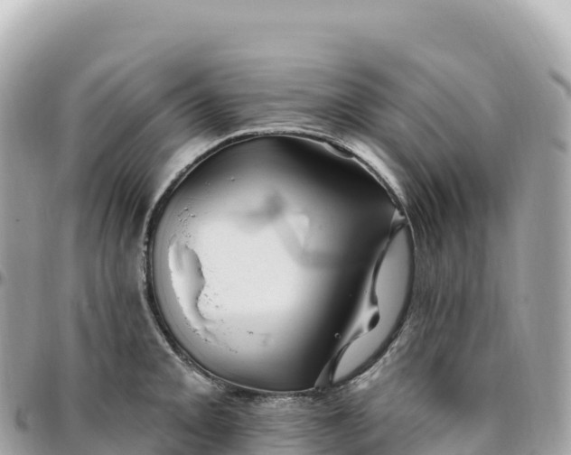 X0000095901093200801251219