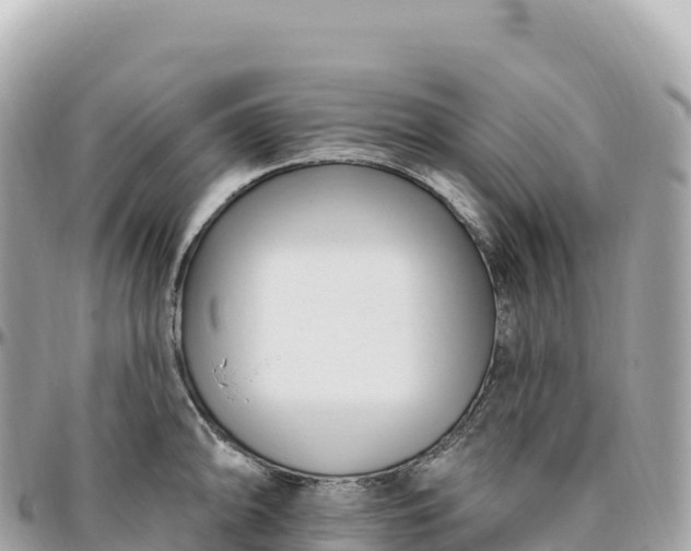 X0000095901094200801251219