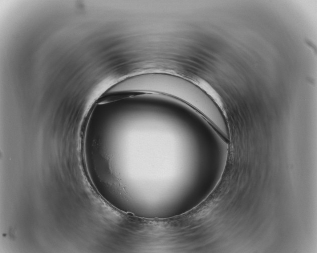 X0000095901096200801251219