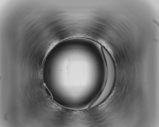 X0000095901097200801251219