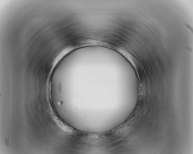 X0000095901098200801251219