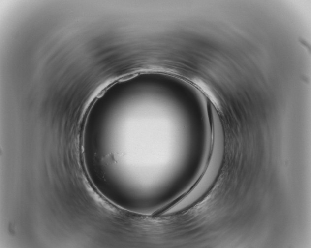 X0000095901100200801251219