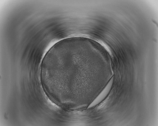 X0000095901102200801251219