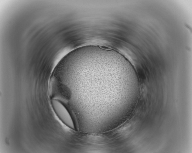 X0000095901103200801251219