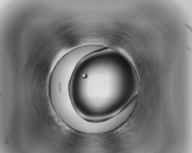 X0000095901104200801251219