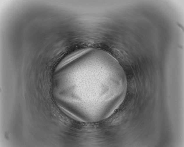 X0000095901105200801251218