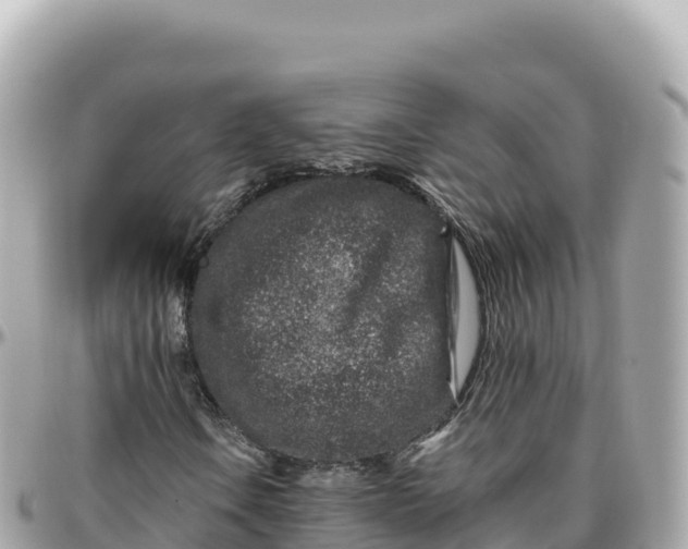 X0000095901106200801251218