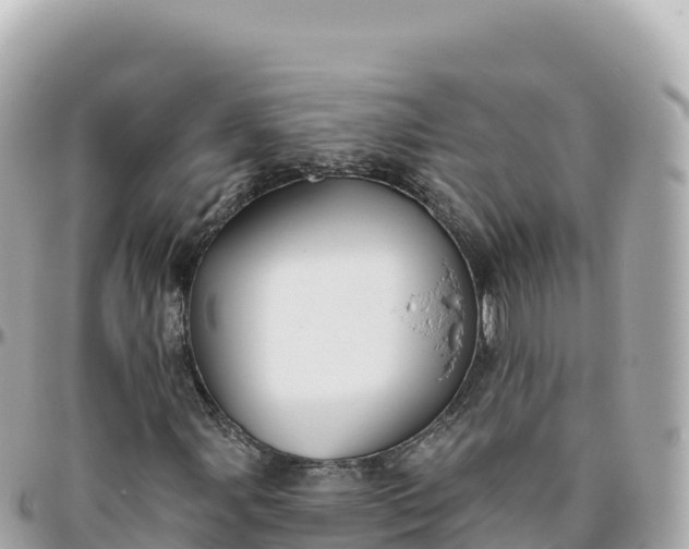 X0000095901107200801251218