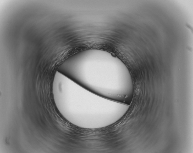 X0000095901108200801251218