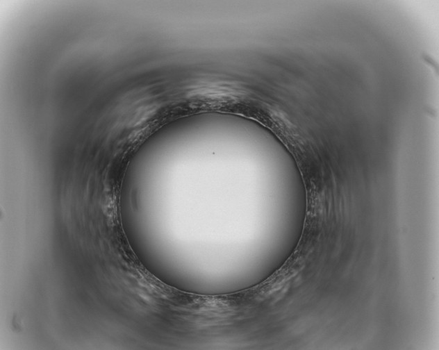 X0000095901109200801251218