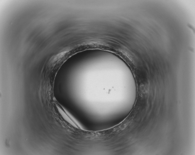 X0000095901111200801251218