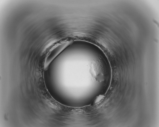 X0000095901112200801251218